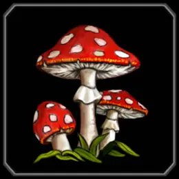 Wonderslot mushroom symbol